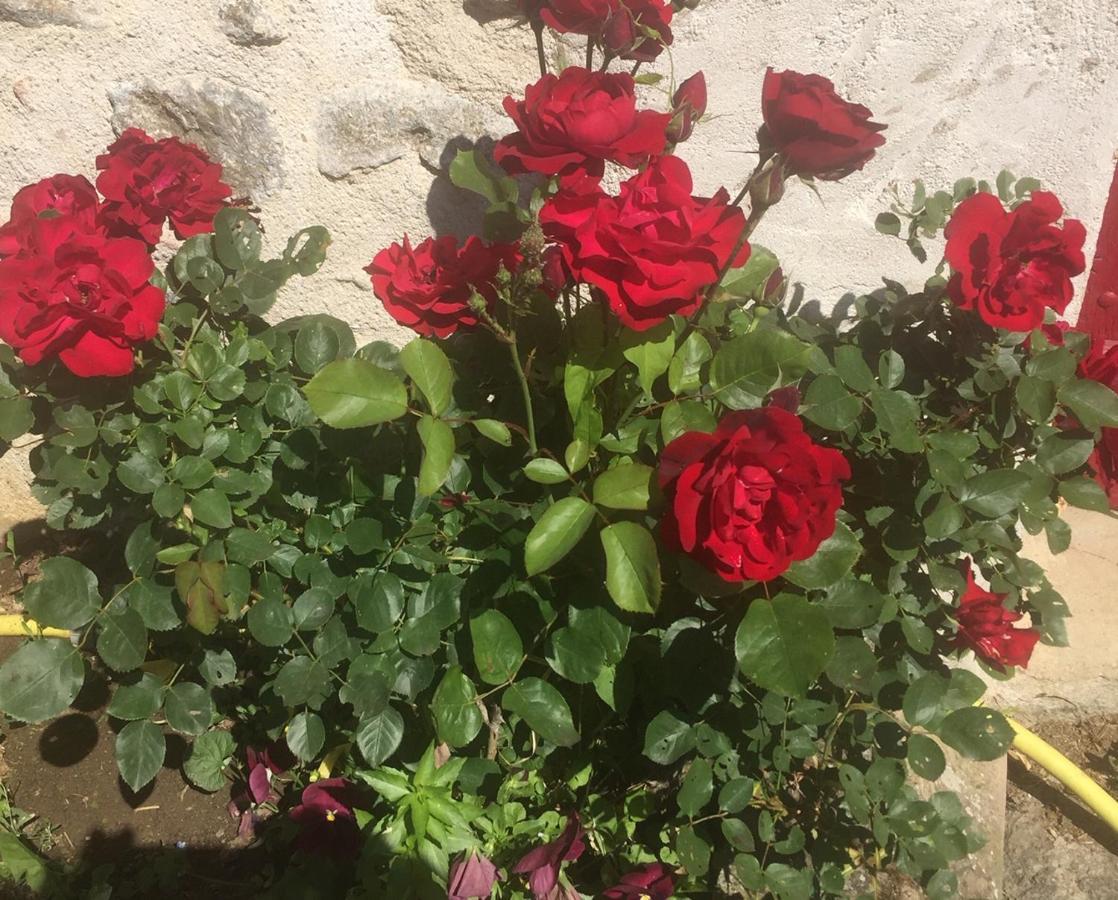 Les Maitres Sonneurs Bed and Breakfast Huriel Εξωτερικό φωτογραφία